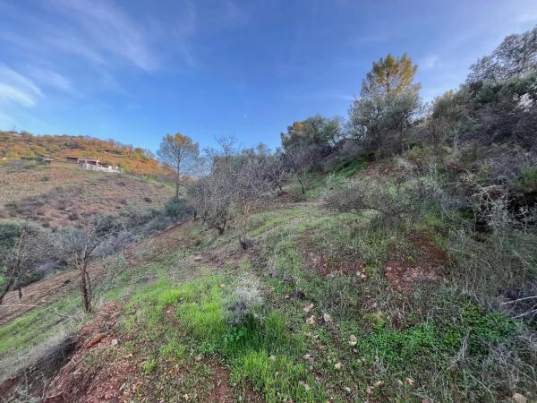 Terreno en Diseminado Diseminados