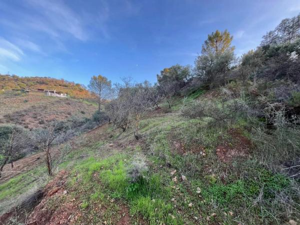 Terreno en Diseminado Diseminados