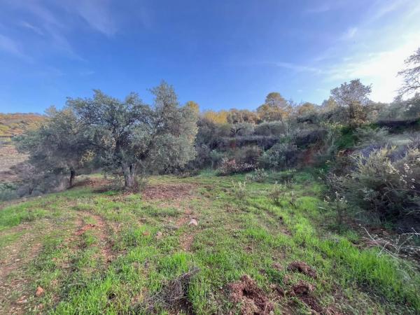 Terreno en Diseminado Diseminados