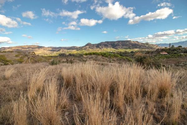 Terreno en Diseminado Poligono 16