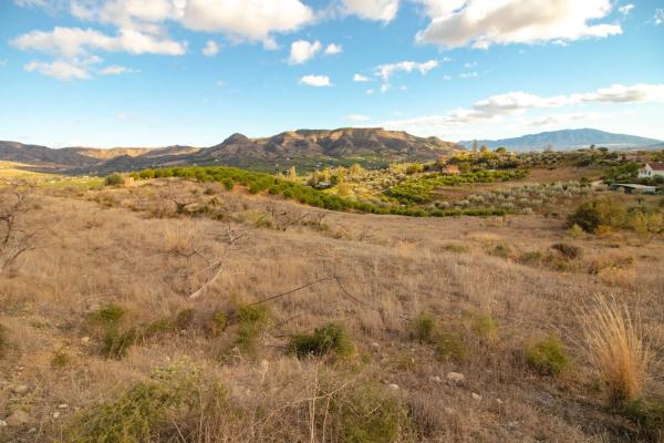 Terreno en Diseminado Poligono 16
