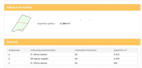 Terreno en Diseminado Poligono 16