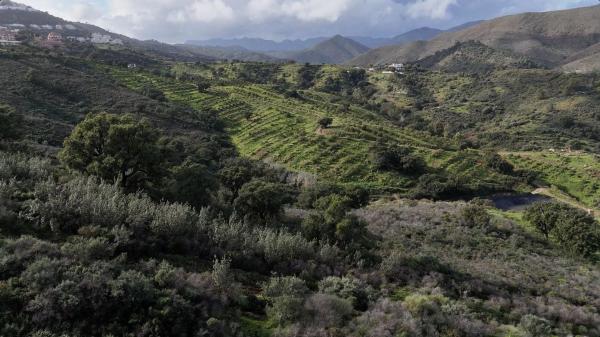 Terreno en calle Vicaria de Cala Golf