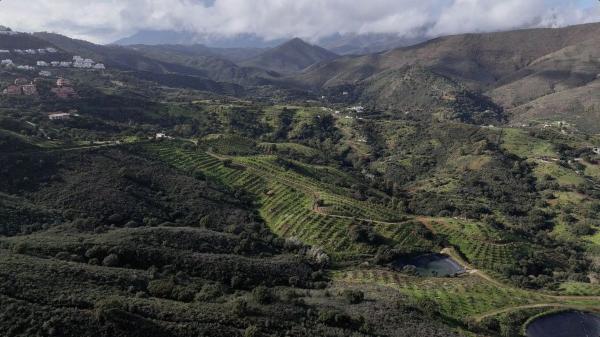 Terreno en calle Vicaria de Cala Golf