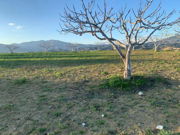 Terreno en Diseminado el chaparral, 403