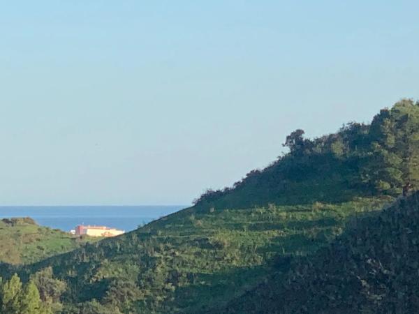 Terreno en Diseminado el chaparral, 403