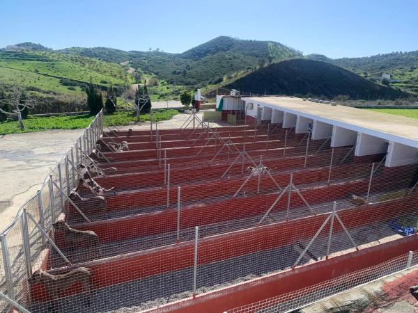 Terreno en Diseminado el chaparral, 403