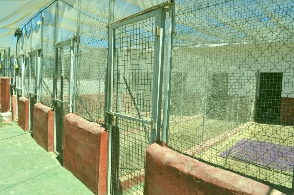 Terreno en Diseminado el chaparral, 403