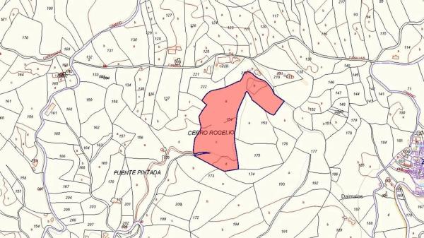 Terreno en camino de Canillas s/n