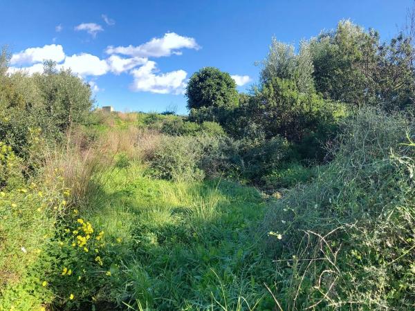 Terreno en Barrio La Concha-Resina Golf