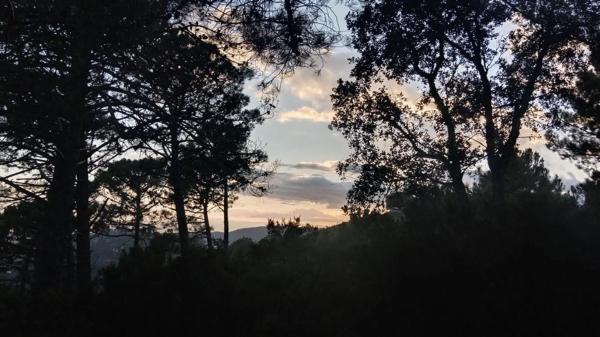 Terreno en calle Jacobo Real, 18