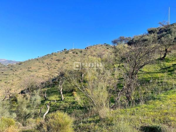 Terreno en via de Málaga