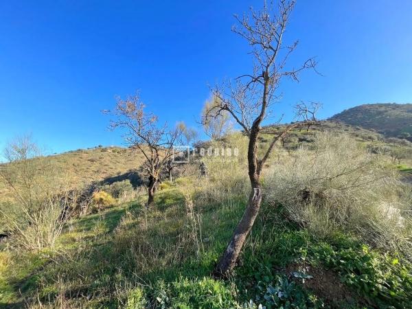 Terreno en via de Málaga