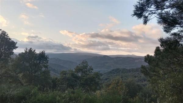 Terreno en calle Jacobo Real, 18