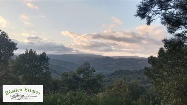 Terreno en calle Jacobo Real, 18