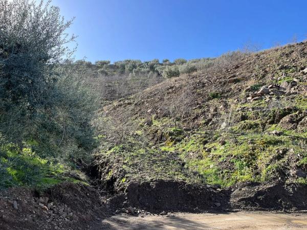 Terreno en Centro Histórico
