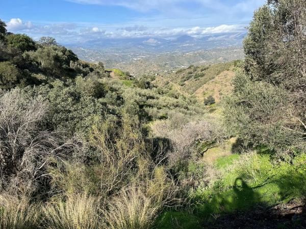 Terreno en Centro Histórico