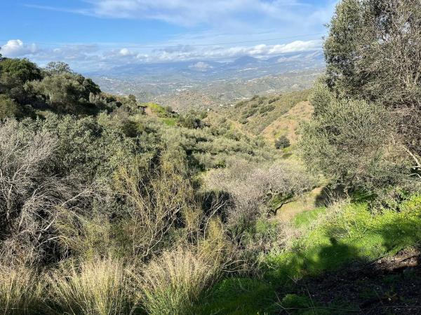Terreno en Centro Histórico