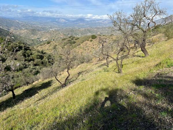 Terreno en Centro Histórico