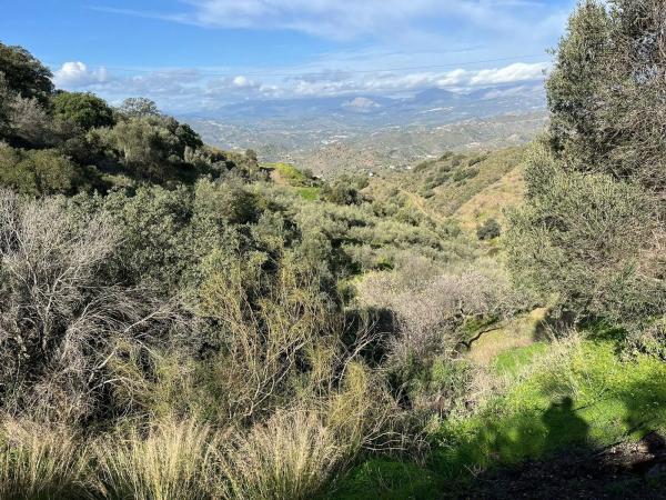 Terreno en Centro Histórico