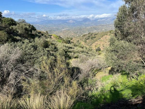 Terreno en Centro Histórico