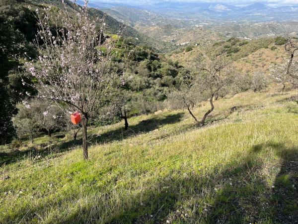 Terreno en Centro Histórico