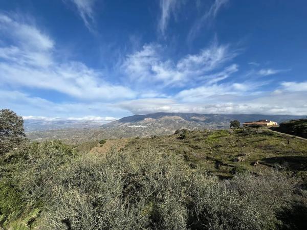 Terreno en Centro Histórico