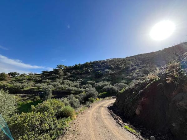 Terreno en Centro Histórico