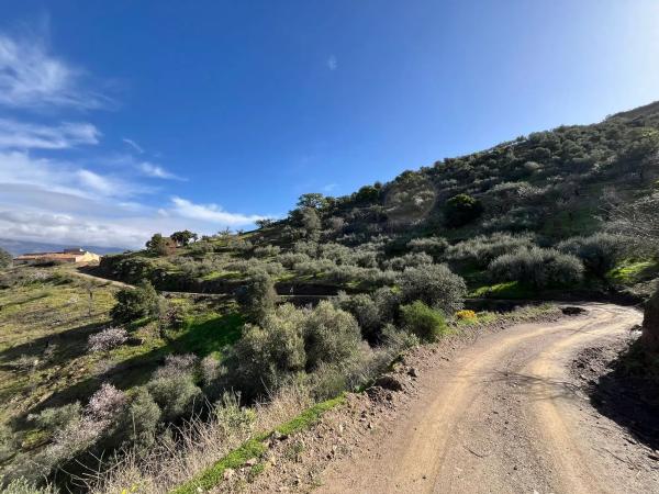 Terreno en Centro Histórico