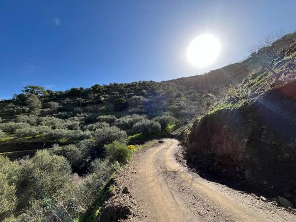 Terreno en Centro Histórico