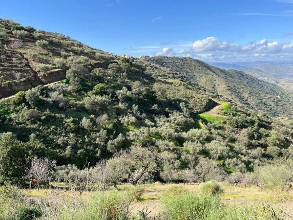 Terreno en Centro Histórico