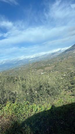 Terreno en Centro Histórico