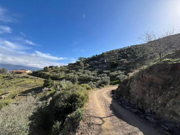 Terreno en Centro Histórico