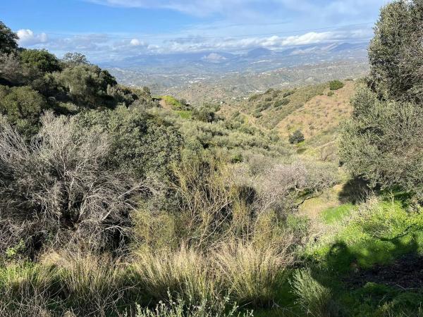 Terreno en Centro Histórico