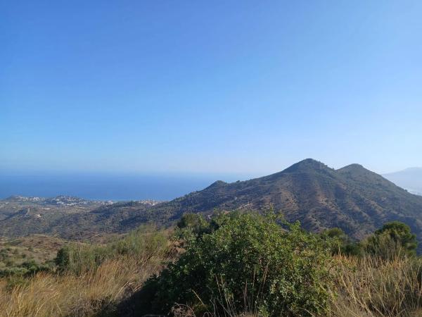 Terreno en Pinares de San Anton