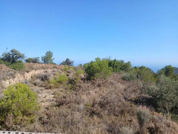 Terreno en Pinares de San Anton