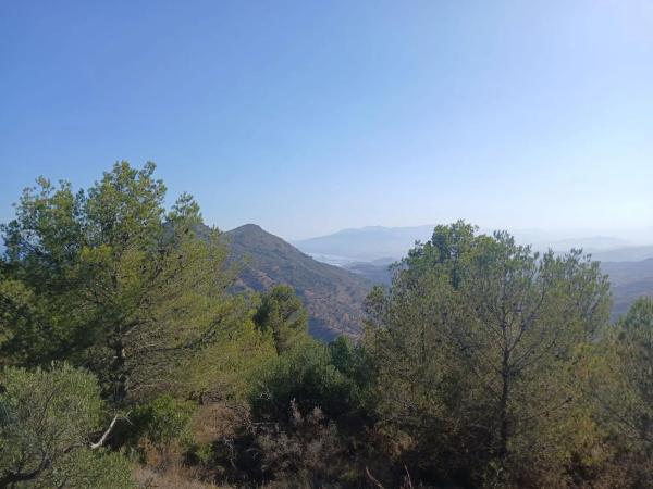 Terreno en Pinares de San Anton