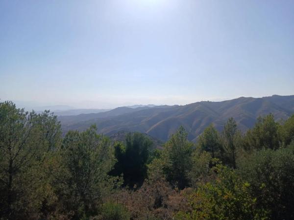 Terreno en Pinares de San Anton