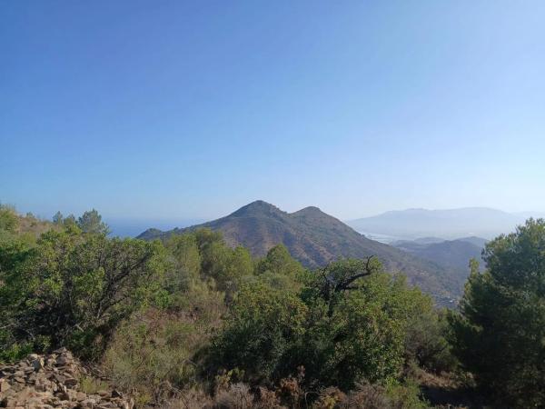 Terreno en Pinares de San Anton