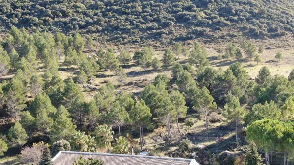 Terreno en carretera de Algeciras