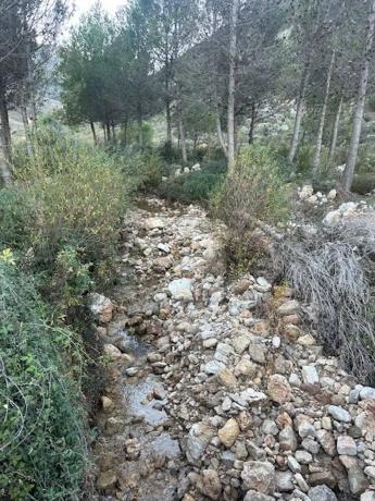 Terreno en carretera de Algeciras