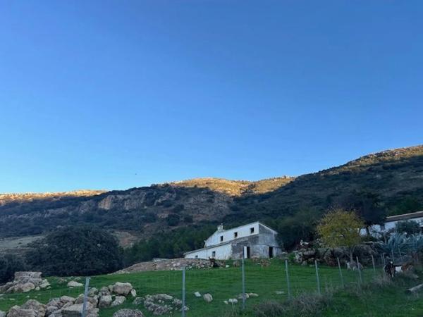 Terreno en carretera de Algeciras