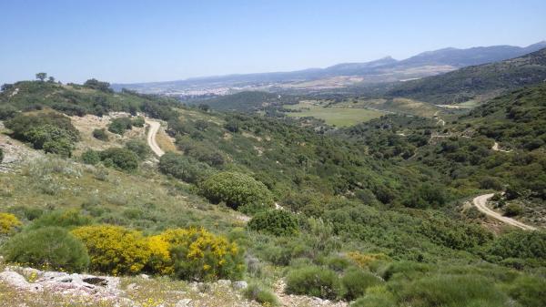 Terreno en carretera de Algeciras