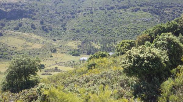 Terreno en carretera de Algeciras