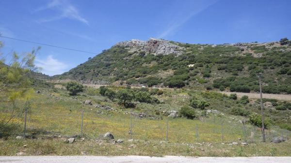 Terreno en carretera de Algeciras