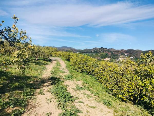 Terreno en El Sexmo, 7 Loslobospoligono