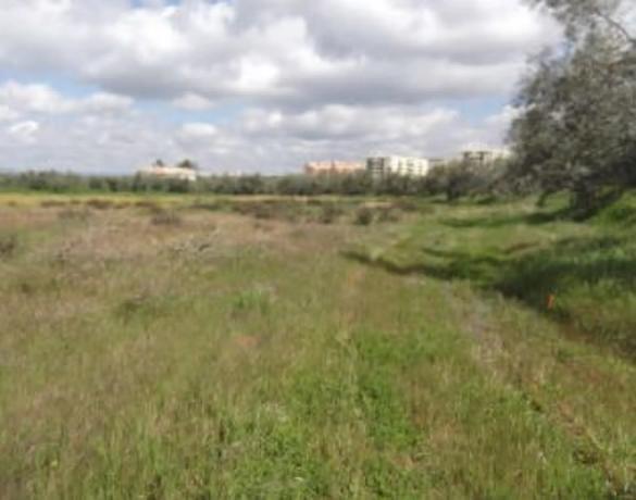 Terreno en Casco Histórico