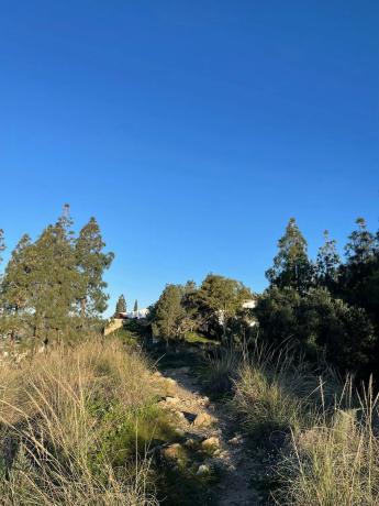 Terreno en calle Célebes Barat, 43