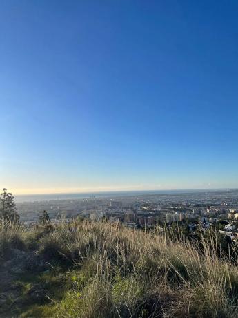 Terreno en calle Célebes Barat, 43