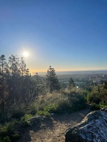Terreno en calle Célebes Barat, 43